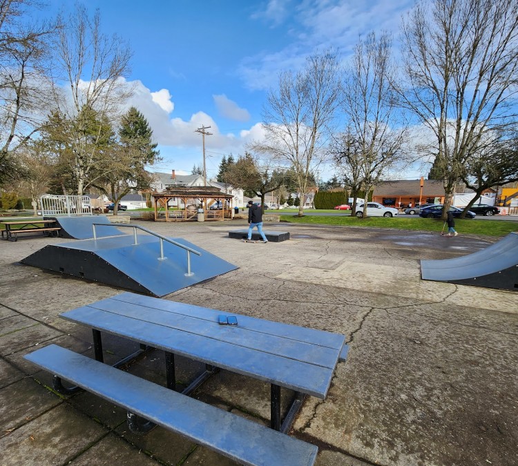 ridgefield-skate-park-photo